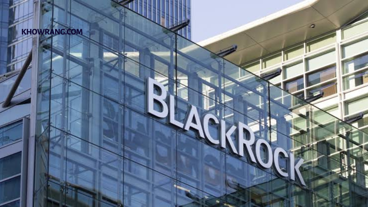 BlackRock Global Impact, Investment Strategies, and Sustainability in 2024